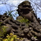 神田明神 石獅子