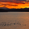 狭山湖夕景－Ⅲ