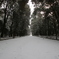 雪道
