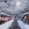 京都 鞍馬寺 雪の参道