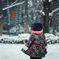 大雪