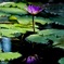 4C5820B4-7721-4856-A4F2-CD4AD4E3821D