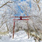 妙見神社 冬の鳥居