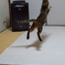I Can Fly