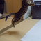 ジャンプ