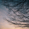 空