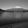 モノクロで撮ってみました