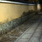 建仁寺・南側外周参道２