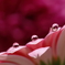水滴7