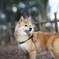 コロン君　大高緑地公園