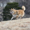 コロン君　大高緑地公園その②