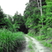 いつもの通り道