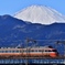 富士山とLSE