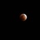 53140D33-0518-4B53-A4B5-57A2AC021998
