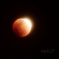 Blood moon