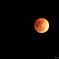Lunar eclipse was visible in Yokosuka #2