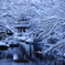八幡堀雪景色_4