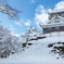 雪の大野城