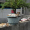 猫の親子03