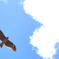 Be free