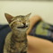 にっっ