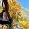 BELL