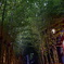 竹林