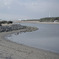 葛西臨海公園の離れ島から