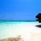 Special Beach