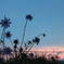 夕方
