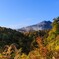 石黒鶏太が心癒されるのどかな野山の風景