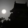月と烏城