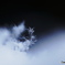 雪の結晶
