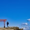 空に近い鳥居