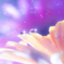 Gerbera