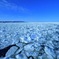 流氷のオホーツク海③
