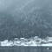 5D8434A6-D580-4005-808C-1865ADFCB4EA