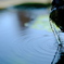 水紋