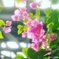 IMG_20180210_081527_905