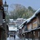 朝の散策
