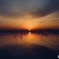 そして夜明け   印旛沼
