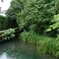 雨水　臼井弘文