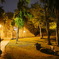 台湾 夜の公園にて