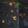 雨上がりの石段