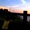 夏を惜しむように・・・