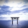 ド定番！ 白髭神社