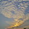 _DSC3813「夕刻」