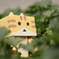 ニャンボー