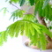 850B2D93-82F2-400F-BB6C-23C7F3F02184