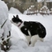 雪の日の冒険　その３